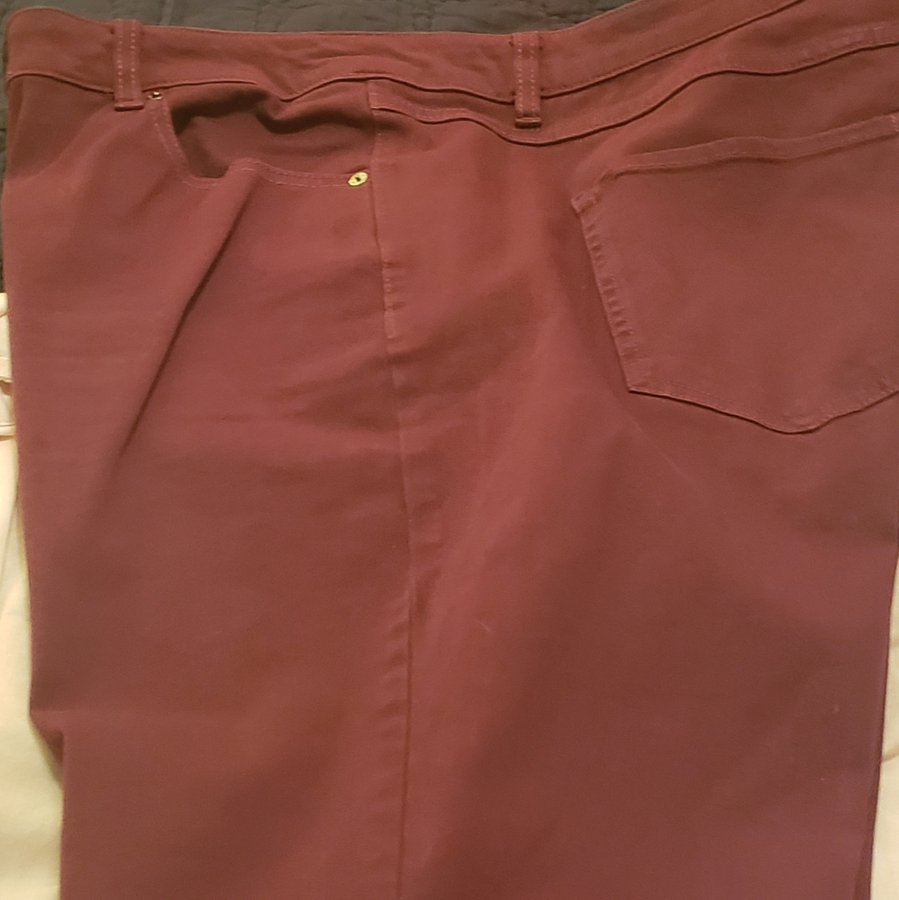 Lane Bryant Jeans size 20w. NWOT